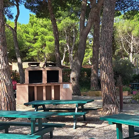 Un Petit Coin De Paradis * 阿格德